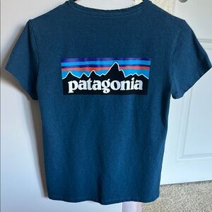 Patagonia Blue Graphic T-Shirt